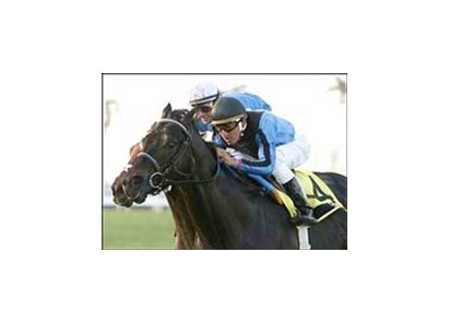 Einstein (4) and Rafael Bejarano hold off Go Deputy and John Velazquez to win the Gulfstream Park Breeders' Cup Turf.