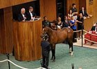 A.P. Indy colt, brought the day's second-highest price of $1.2 million.