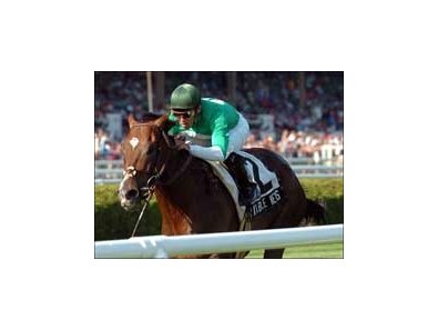 Remarkable News wins the Fourstardave Stakes at Saratoga Aug. 6. <br><a target="blank" href="http://www.bloodhorse.com/horse-racing/photo-store?ref=http%3A%2F%2Fpictopia.com%2Fperl%2Fgal%3Fgallery_id%3D6823%26process%3Dgallery%26provider_id%3D368%26ptp_photo_id%3D474308%26sequencenum%3D%26page%3D">Order This Photo</a>