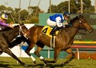 New York Invader The Mailet Posts Miesque Win New York Invader The Mailet Posts Miesque Win