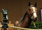 Keeneland September sale.