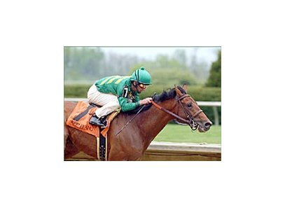 Midway Road rolled to a track-record win in the Ben Ali.