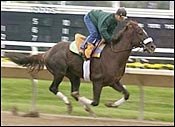 Gainesway Farm Acquires Whywhywhy Gainesway Farm Acquires Whywhywhy