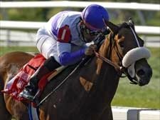 No Catching Mistical Plan in Fair Grounds Oaks No Catching Mistical Plan in Fair Grounds Oaks