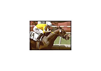 Haskin says: "Came Home could very well be the big horse we've all been looking for."