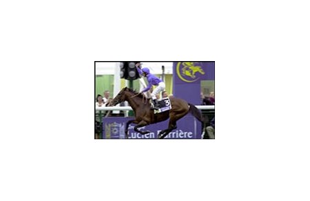 Godolphin Racing's Arc winner Sakhee leads a foreign invasion.