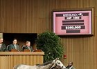 Keeneland Day 4: Average and Median Increase Keeneland Day 4: Average and Median Increase