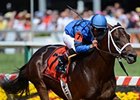 Hamazing Destiny Scores First Stakes Win Hamazing Destiny Scores First Stakes Win