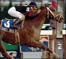 Thunder Touch Erupts for Fall Highweight Win Thunder Touch Erupts for Fall Highweight Win