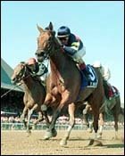 Big Bambu Wins Honorable Miss at Saratoga Big Bambu Wins Honorable Miss at Saratoga