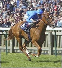 Casual Look Among Fillies Confirmed for Vodafone Oaks Casual Look Among Fillies Confirmed for Vodafone Oaks