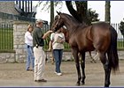 Successful Appeal Filly Tops Another Solid Session at Keeneland Successful Appeal Filly Tops Another Solid Session at Keeneland