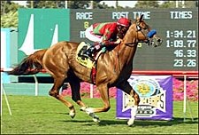 Bayamo Shows Potential in American 'Cap Bayamo Shows Potential in American 'Cap