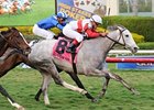 Hit It Rich Favorite of Six in Glens Falls Hit It Rich Favorite of Six in Glens Falls