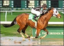 Victory is Sweet for Teuflesberg in Sugar Bowl Stakes Victory is Sweet for Teuflesberg in Sugar Bowl Stakes