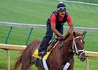 Eskendereya will work Sunday.<br><a target="blank" href="http://www.bloodhorse.com/horse-racing/photo-store?ref=http%3A%2F%2Fpictopia.com%2Fperl%2Fgal%3Fprovider_id%3D368%26ptp_photo_id%3D8923483%26ref%3Dstory">Order This Photo</a>