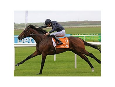 Roderic O'Connor sprints home in the Irish Two Thousand Guineas.<br><a target="blank" href="http://www.bloodhorse.com/horse-racing/photo-store?ref=http%3A%2F%2Fpictopia.com%2Fperl%2Fgal%3Fprovider_id%3D368%26ptp_photo_id%3D9533261%26ref%3Dstory">Order This Photo</a>