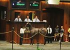 Hip 47 brings $200,000, the high price for the opening session of the OBS August Yearling Sale.