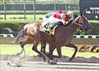 Weigelia Wows 'Em in Carry Back Surprise Weigelia Wows 'Em in Carry Back Surprise