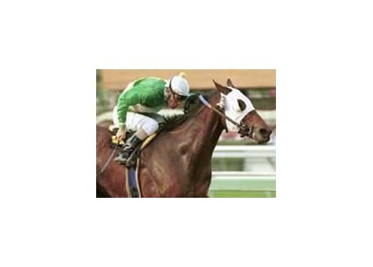 Lovellon, ridden by Gary Stevens, cruises to a win in the grade I $200,000 Santa Maria Handicap on Sunday.