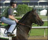 Morning at Churchill Highlighted By Derby Workouts Morning at Churchill Highlighted By Derby Workouts