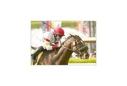 Meteor Storm attempts to recapture his winning form in Saturday's Sword Dancer (gr. IT).