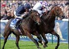 2006 Dewhurst stakes winner Teoflio (right) has been retired from racing.