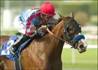 Tough Tiz's Sis wins the Hollywood Oaks.<br><a target="blank" href="http://www.bloodhorse.com/horse-racing/photo-store?ref=http%3A%2F%2Fpictopia.com%2Fperl%2Fgal%3Fprovider_id%3D368%26ptp_photo_id%3D1396405%26ref%3Dstory">Order This Photo</a>
