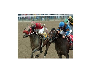 My Trusty Cat, left, closes the deal against Ebony Breeze to take the Honorable Miss by a nose.