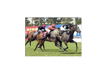 Three Degrees (6) overtakes Thatswhatimean (8) to win the Honeymoon Breeders' Cup Handicap.