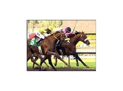 High Limit and Patrick Valenzuela, inside, duel down the stretch with Buckland Manor to win the San Pasqual Handicap.