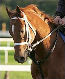 Henny Hughes Hopes to Turn Tables on First Samurai in Juvenile Henny Hughes Hopes to Turn Tables on First Samurai in Juvenile