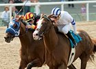 Buzzards Bay heads the line-up for the $150,000 All American Stakes.<br><a target="blank" href="http://www.bloodhorse.com/horse-racing/photo-store?ref=http%3A%2F%2Fpictopia.com%2Fperl%2Fgal%3Fprovider_id%3D368%26ptp_photo_id%3D1328549%26ref%3Dstory">Order This Photo</a>