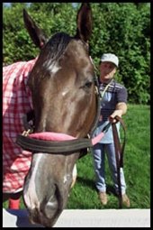 Grade I Winner Booklet Retired Grade I Winner Booklet Retired