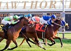 Grade III winner Strait of Mewsina is one of several stakes winners inbred to Danzig.
