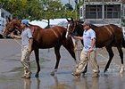 At Keeneland, a Shrouded Silver Lining? At Keeneland, a Shrouded Silver Lining?