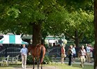 Talkin' F-T Saratoga: Market Expectations Talkin' F-T Saratoga: Market Expectations