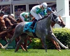 Pletcher Perfect 3-for-3 After Edgewood Score Pletcher Perfect 3-for-3 After Edgewood Score