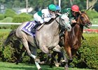 Forever Together comes home strong in the Diana, for the 2nd straight year.<br><a target="blank" href="http://www.bloodhorse.com/horse-racing/photo-store?ref=http%3A%2F%2Fpictopia.com%2Fperl%2Fgal%3Fprovider_id%3D368%26ptp_photo_id%3D8378417%26ref%3Dstory">Order This Photo</a>