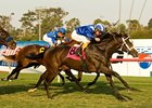 Habaya sweeps to victory in the Miesque Stakes.<br><a target="blank" href="http://www.bloodhorse.com/horse-racing/photo-store?ref=http%3A%2F%2Fpictopia.com%2Fperl%2Fgal%3Fprovider_id%3D368%26ptp_photo_id%3D6889008%26ref%3Dstory">Order This Photo</a>