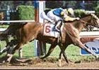 Grade I Winner Unshaded Injured, Retired Grade I Winner Unshaded Injured, Retired