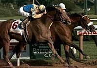 Travers Winner Unshaded Has First Breeze Since Injury Travers Winner Unshaded Has First Breeze Since Injury