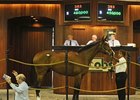 OBS March Sale Gross Declines 38% OBS March Sale Gross Declines 38%