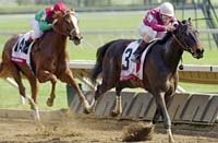 Keeneland Race Report: Fleet Renee Preps for Oaks With Ashland Romp Keeneland Race Report: Fleet Renee Preps for Oaks With Ashland Romp