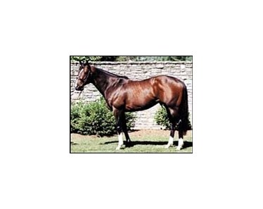 Tale of the Cat, leads all sires by number of 2004 foals.