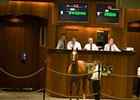 Mr. Greeley Colt Brings $260,000 at OBS Mr. Greeley Colt Brings $260,000 at OBS