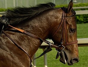 Point Determined Retired to Montesacro Point Determined Retired to Montesacro