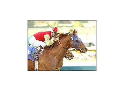 Star Cross (3) wins the San Pasqual Handicap by a nose over Nose The Trade, Saturday at Santa Anita.