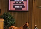 Hip 147 sold for $750,000 during session 2 of the Keeneland September Sale.