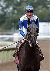Graded Stakes Winner Scipion Retired Graded Stakes Winner Scipion Retired